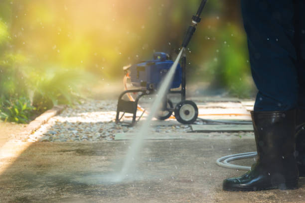 Best Sidewalk and Walkway Cleaning  in Iowa Falls, IA